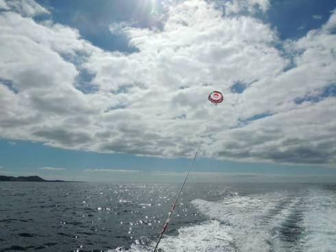 1901315_10152227112622674_723062007_n